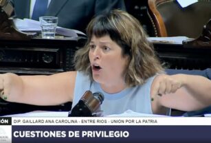 Discusión de la Ley Ómnibus - Gaillard