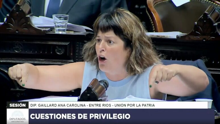 Discusión de la Ley Ómnibus - Gaillard