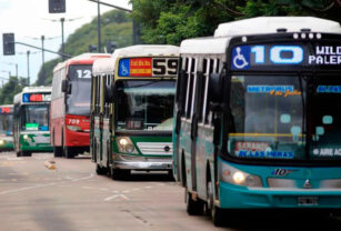 colectivo
