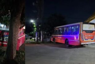 colectivo