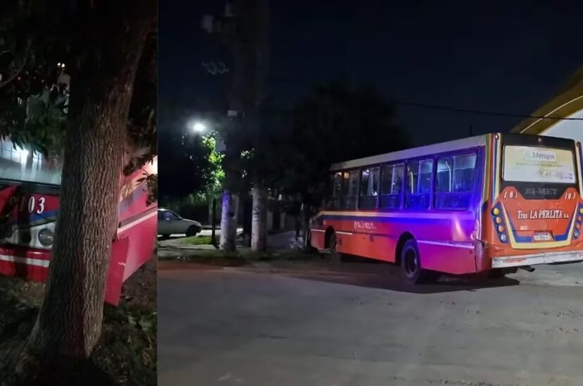 colectivo