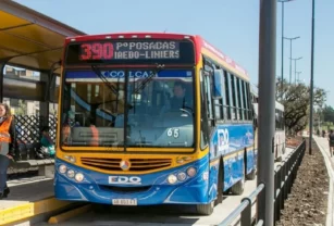 colectivo