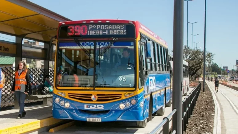 colectivo