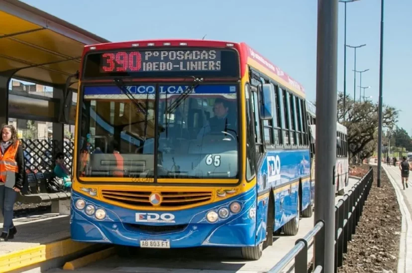 colectivo