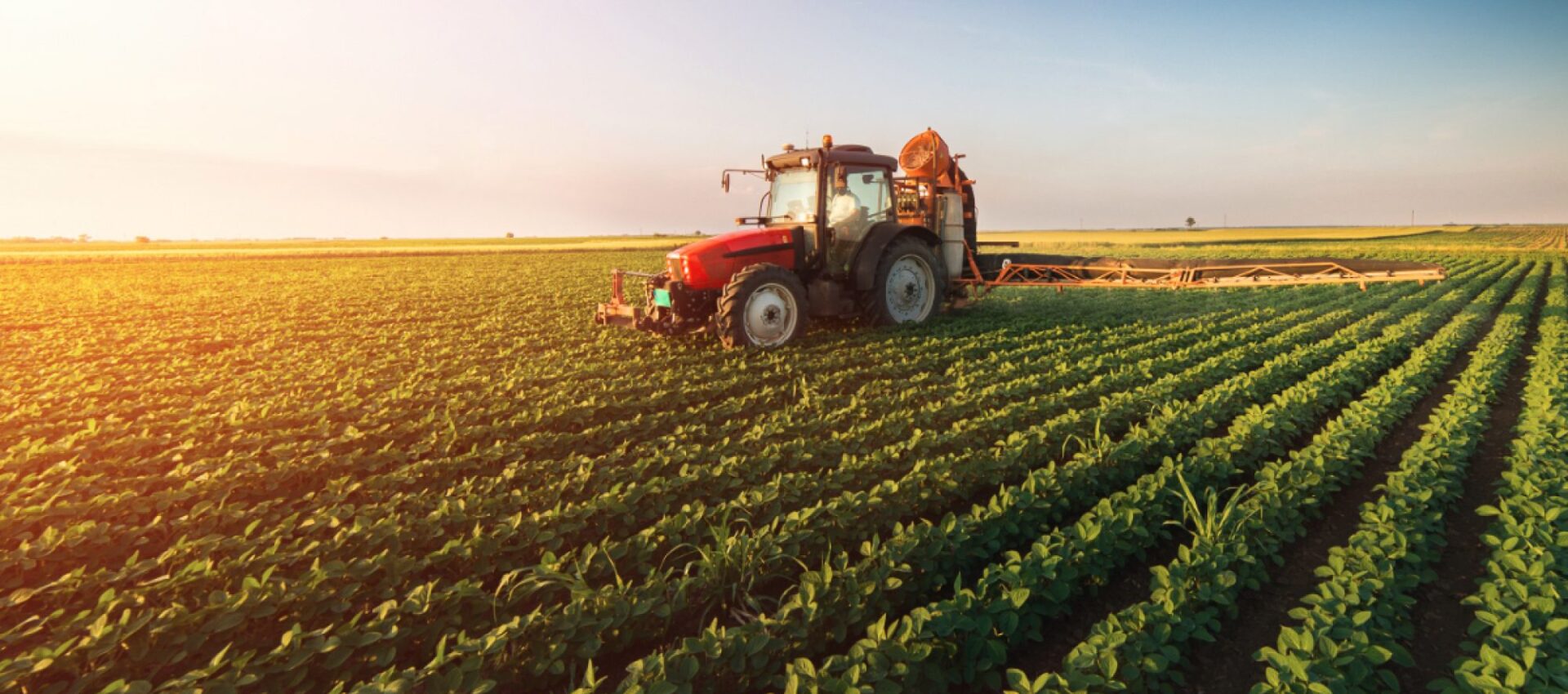 agro