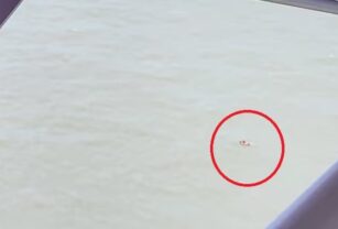 desaparecidos kayak