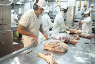 frigorífico carne vacuna exportación