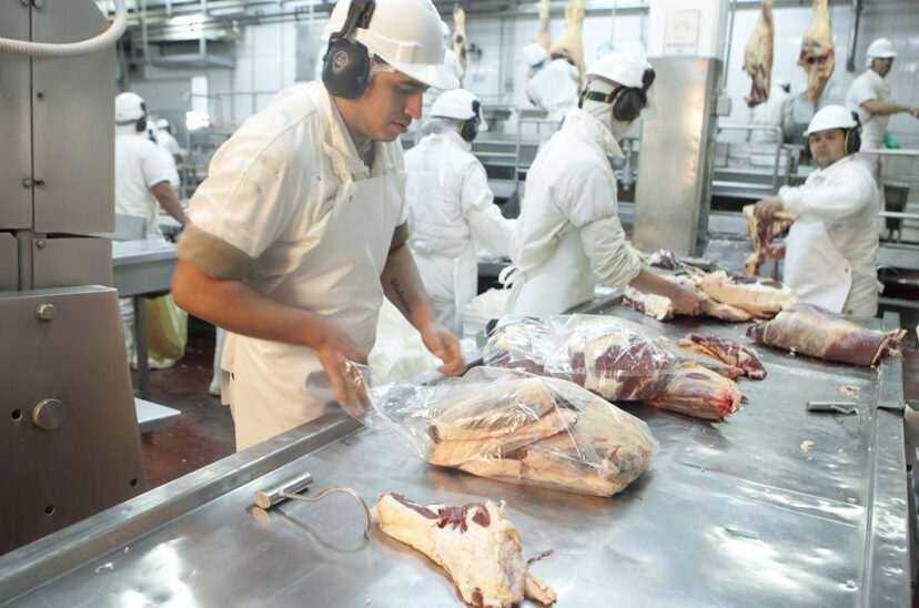 frigorífico carne vacuna exportación