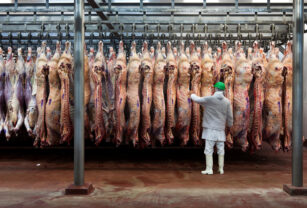 frigorífico carne vacuna res frigoríficos