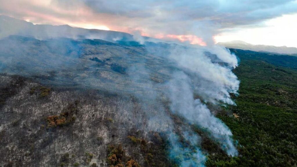 incendio parque nacional los alerces