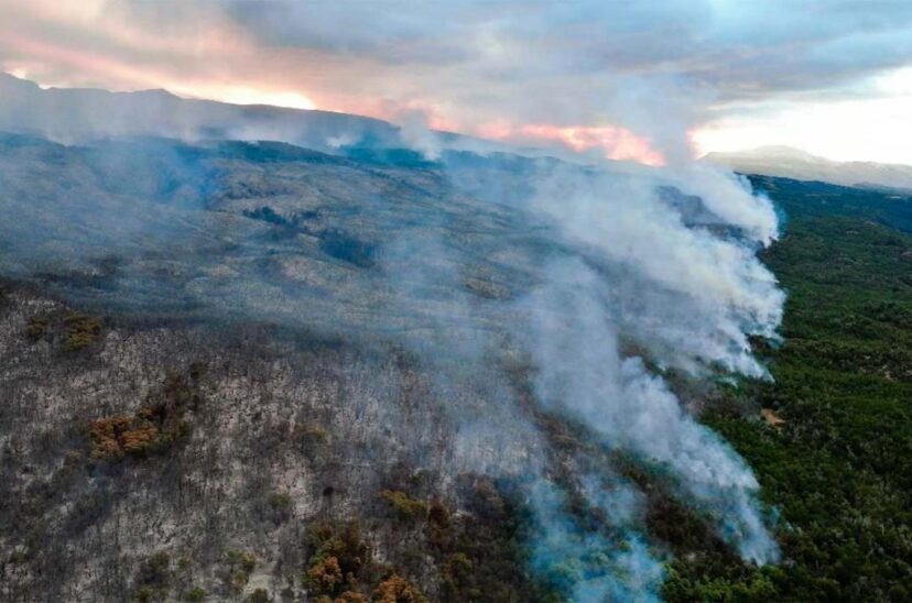 incendio parque nacional los alerces