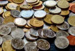 moneda de $10