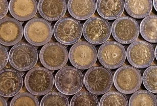 moneda 1 peso error