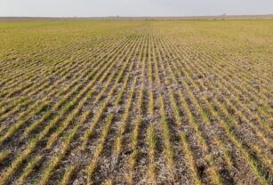 la pampa tierras