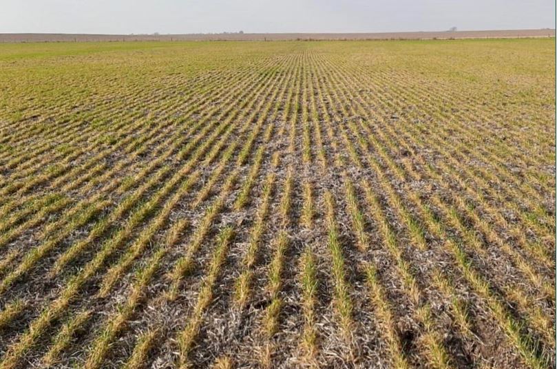 la pampa tierras