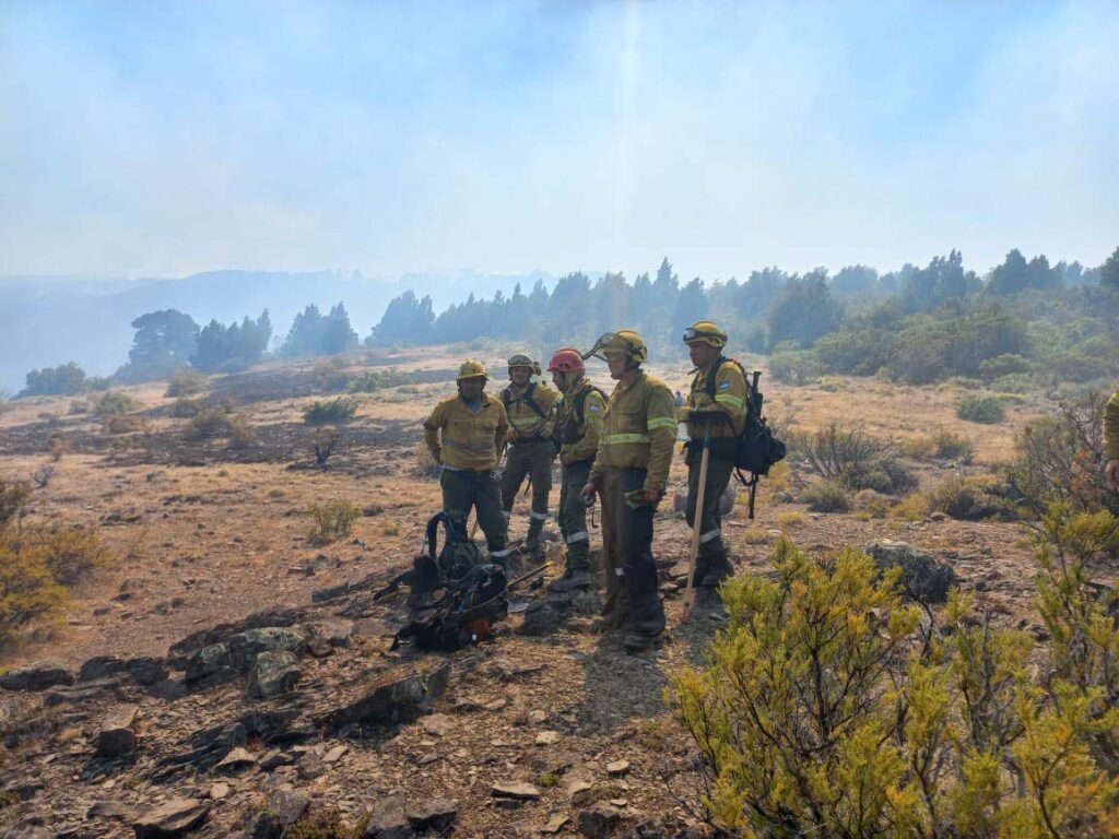 Brigadistas en el Parque Nacional Los Alerces. (Télam).