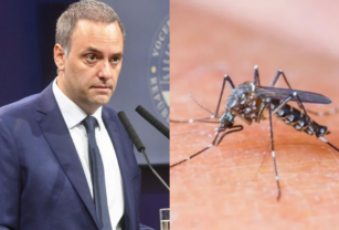 dengue
