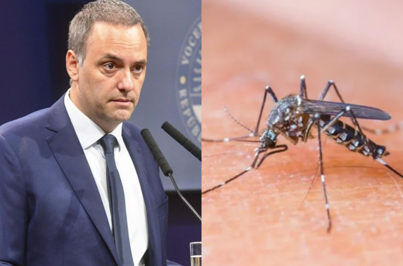 dengue