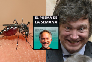 Poema de la semana