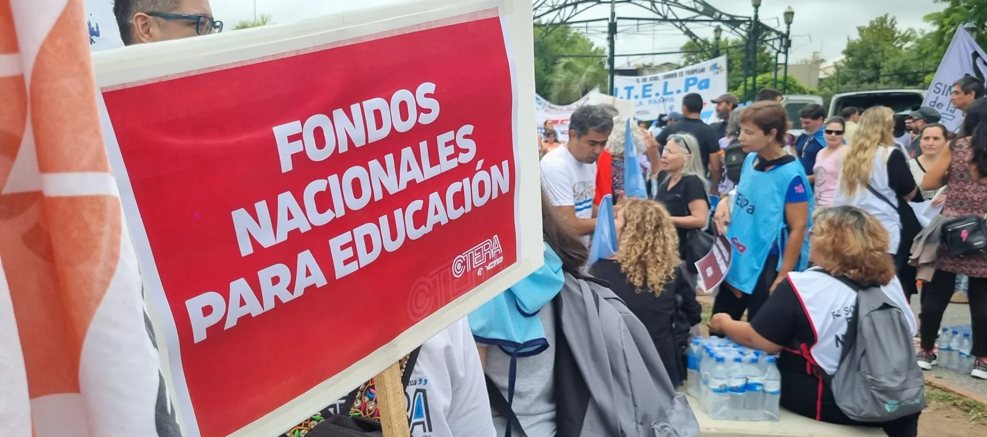 Docentes