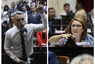 Paulon y Fein