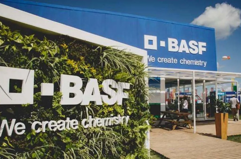 basf stand