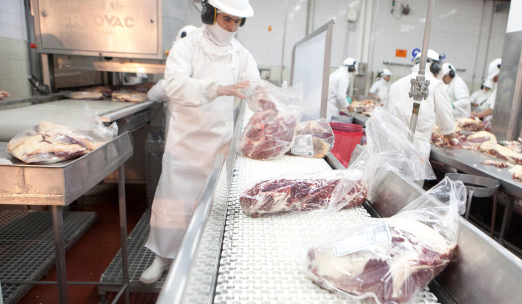 carne bovina