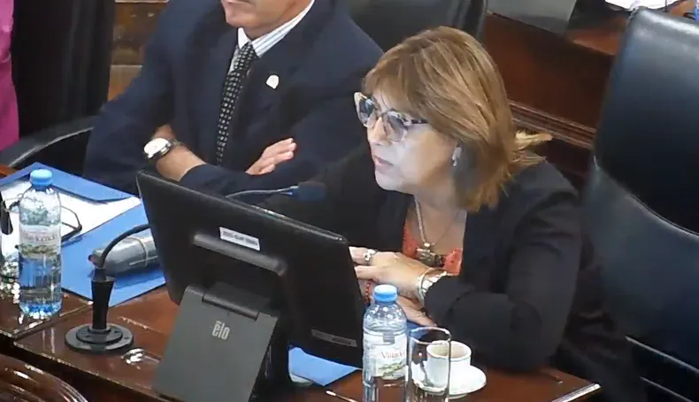 diputada entre ríos síndrome de down