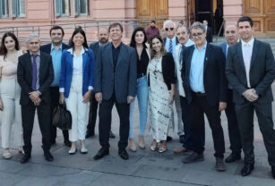 diputados milei