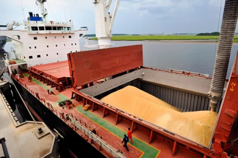 exportaciones argentinas agroindustriales agroindustria agroexportaciones agroindustriales
