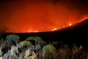 incendio los alerces