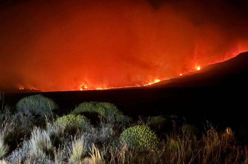 incendio los alerces