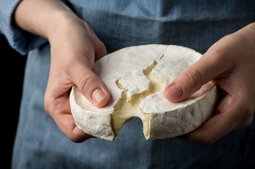 queso brie