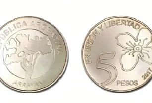 moneda $5