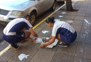 Misiones Pintada