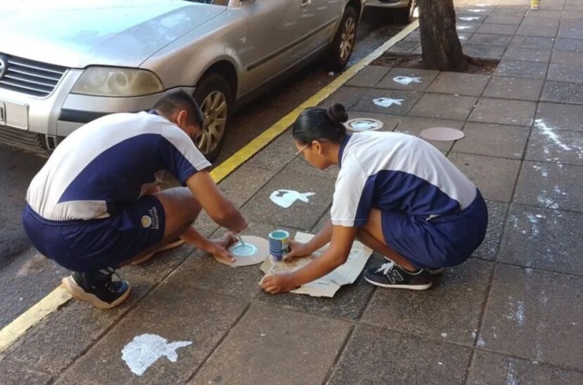 Misiones Pintada
