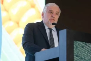 Milei funcionario