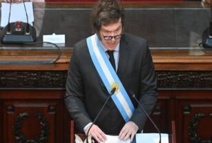 Milei senado