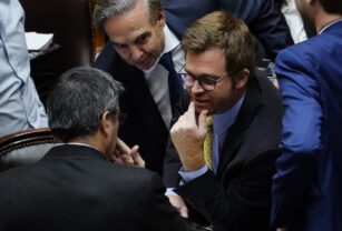 diputados