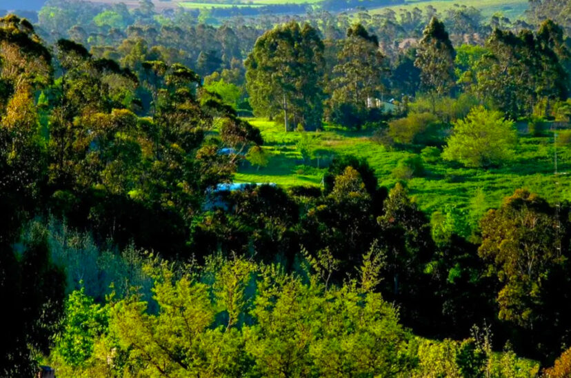 Sierra de los Padres Semana Santa