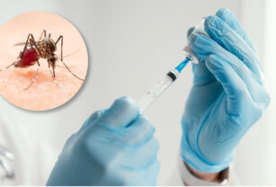 vacuna dengue