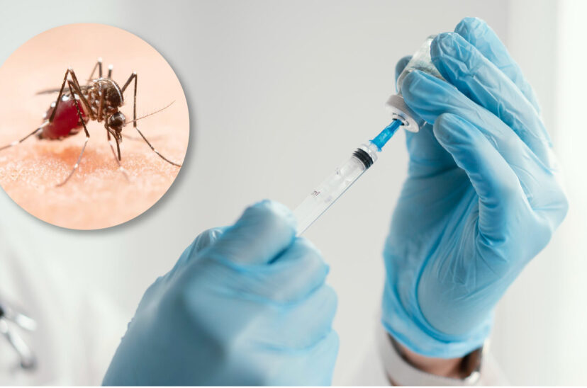 vacuna dengue