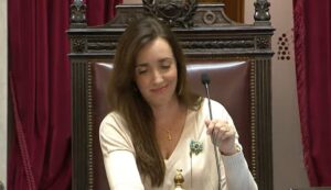 Villarruel en el Senado