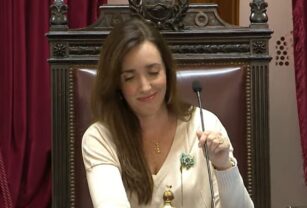 Villarruel en el Senado