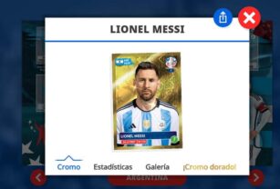 álbum virtual copa américa messi