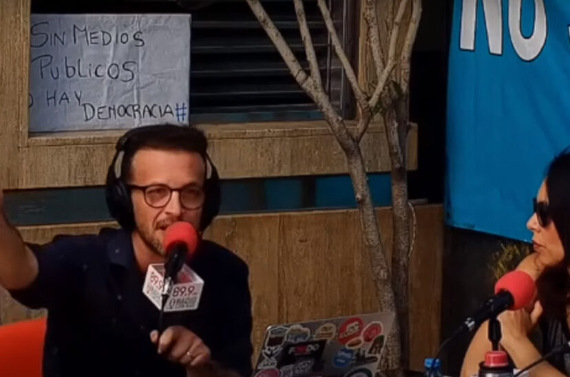 bercovich milei
