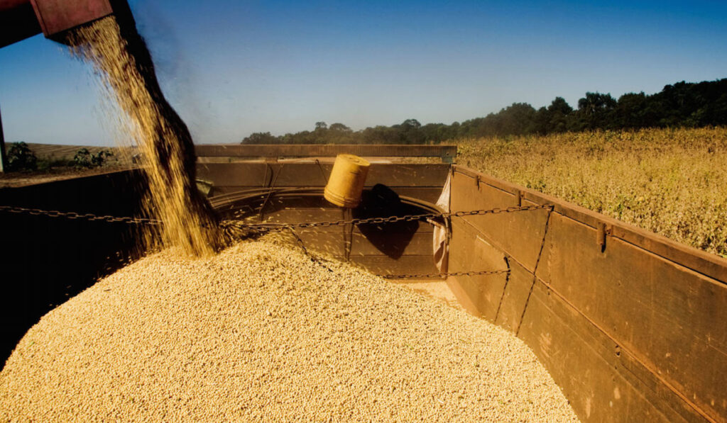 brasil cosecha soja