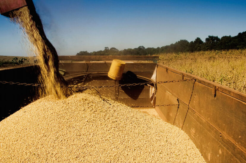 brasil cosecha soja granos ruca