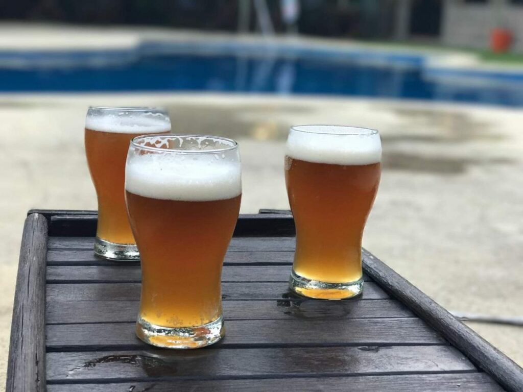 cervezas artesanales