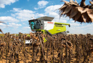 claas cosecha girasol pymes agropecuarias